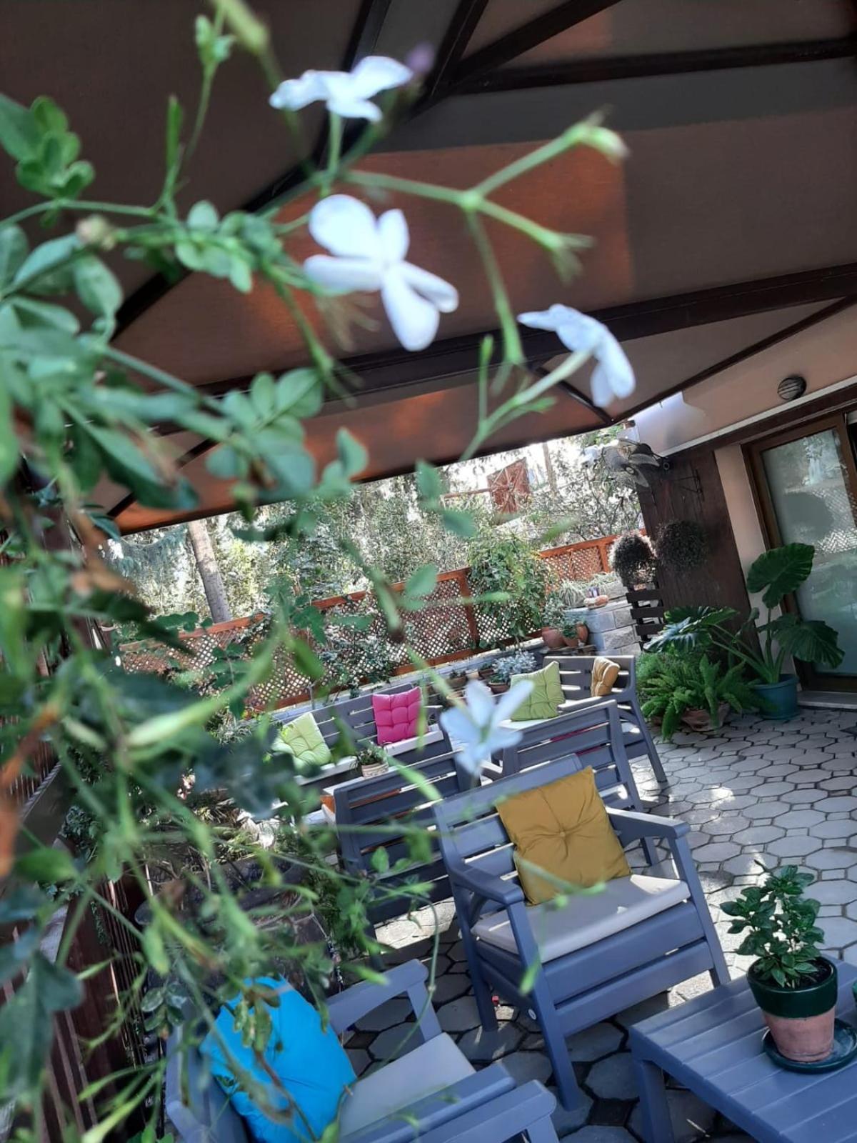 Denge Homes 尼科西亚 外观 照片